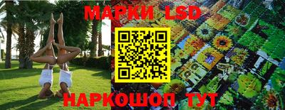 мяу мяу мука Донской