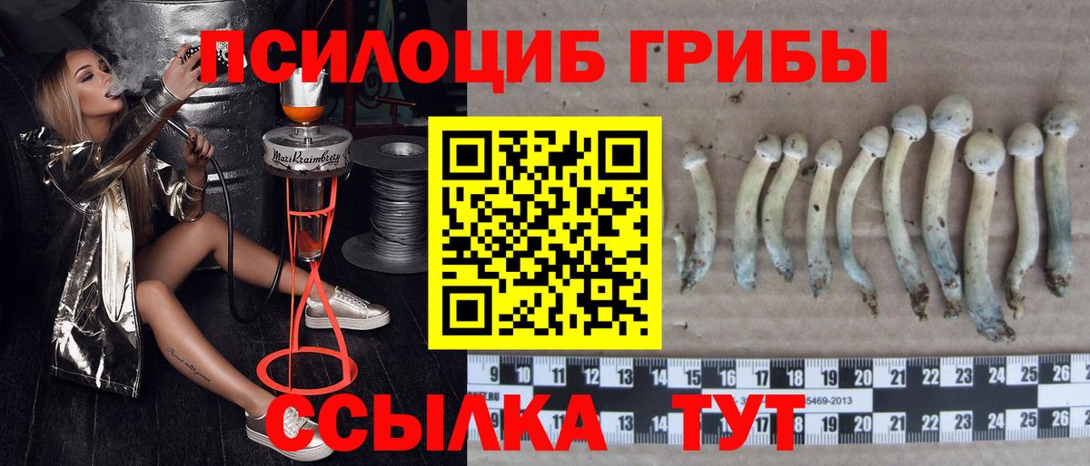 Галлюциногенные грибы Magic Shrooms  Вход с VPN  Галлюциногенные грибы ЛСД  Мариинск 